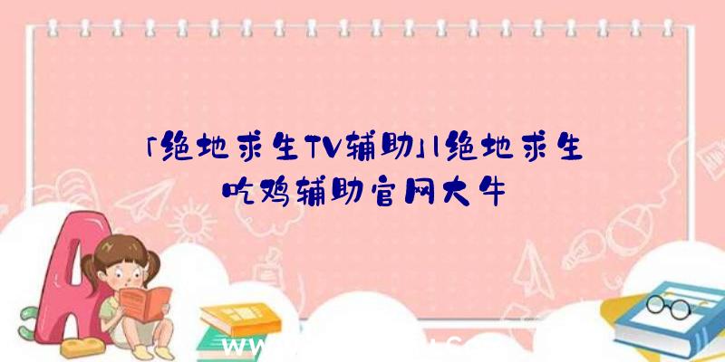 「绝地求生TV辅助」|绝地求生吃鸡辅助官网大牛